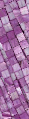 PurplePearls