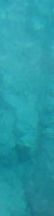 TurquoiseSea