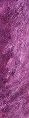 VioletCoat