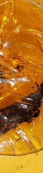Udskriv 'AmberGlass' ved at trykke p� billedet