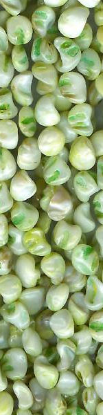 Udskriv 'Green Pearls' ved at trykke p� billedet