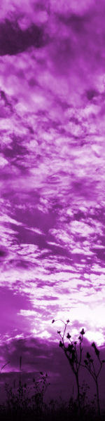 Udskriv 'Purple Sky' ved at trykke p billedet