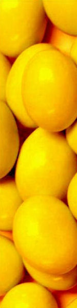 Udskriv 'YellowAlmonds' ved at trykke p� billedet