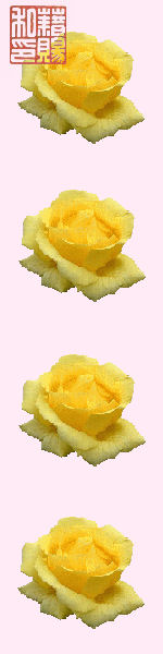 Udskriv 'YellowRose' ved at trykke p� billedet