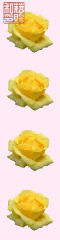 YellowRose